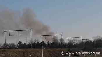 Brand in verlaten boerderij in Hasselt is vermoedelijk aangestoken