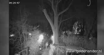 KIJK | Bewakingscamera legt megabrand in Arnhem vast