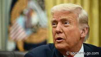 Trump questions if NATO would defend US, but 1,000 allies died in the war on terror