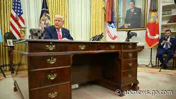 Trump tells Cabinet members that they're in charge, not Musk: Sources