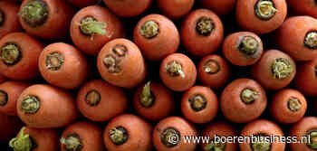 Peenprijs komt iets verder onder druk te staan