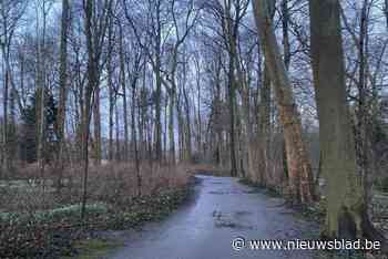 Student moet schadevergoeding van 190.000 euro betalen na ongeval met fiets waarbij voetganger (71) het leven liet