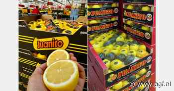 Krap aanbod Spaanse en Turkse citroenen