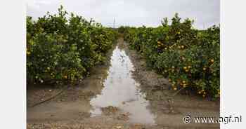 Beperkt aanbod groenten en fruit door aanhoudende regen in Spanje