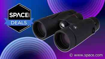 Our best binoculars under $300 are now even better value with this $90 price cut