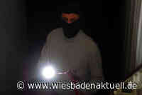 Diebe brechen in Kellerräume ein und machen Beute