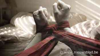 Nederlander riskeert vijf jaar cel voor mensonterende behandeling en verkrachting bij plas- en poepseks met Lommelse