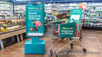 Studie: Was Loyalty-Apps erfolgreich macht