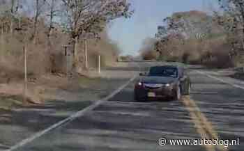 Video: allebei proberen uit te wijken