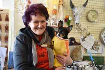 Vzw HAP regelmatig geplaagd door vandalen en dieven: “Maar ik doe het nog met hart en ziel”