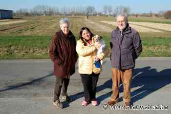 Hoe gaan de buren van 3M om met nieuwe strop in juridisch proces?: “Het is niet eerlijk dat onze gezondheid lijdt onder de vervuiling van die fabriek”