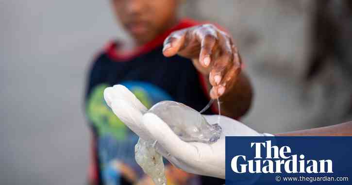 A growing appetite for jellyfish promised a boom for fishers in Honduras. But then the storms came