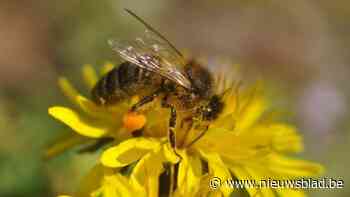 Putse milieudienst organiseert infosessies over biodiversiteit