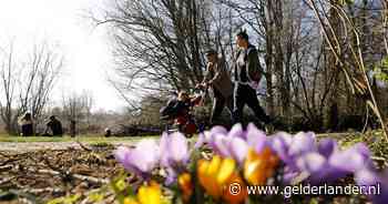 Officieel warmste 7 maart ooit gemeten met 17,8 graden in De Bilt