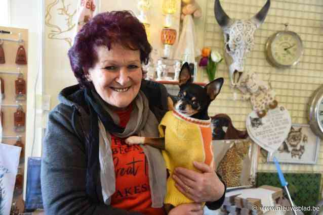 Vzw die zich inzet voor dieren geplaagd door vandalen en dieven: “Heel stel hondenkussens ter waarde van bijna 4.000 euro gestolen”