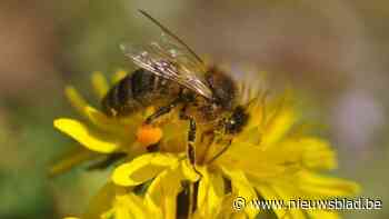 Putse milieudienst organiseert infosessies over biodiversiteit