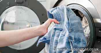 Washing machine users only realising 'hidden' section keeps 'everything fresh'