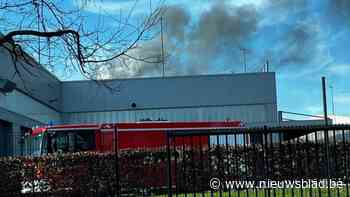 Auto vliegt in brand op dak van stelplaats De Lijn in Hasselt