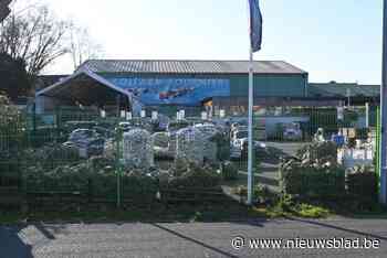 Vijverspecialist onderzoekt verhuis naar Zuidstraat (en zorgt zo misschien voor doorbraak in dossier Leiewerken)