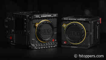 Nikon, RED, and Vimeo Team Up To Offer Short Film Grants For Emerging Filmmakers