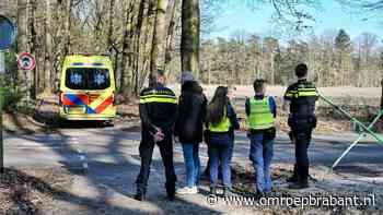 112-nieuws: paard uitgegleden • politie rijdt achter joint rokende man