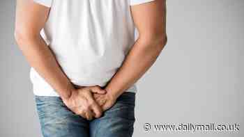 Scientists create the world's first 3D-printed PENIS - and it could help men beat erectile dysfunction