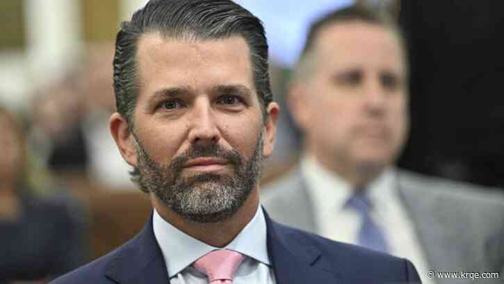Canadian senator challenges Donald Trump Jr. to charity boxing match over 'bogus tariffs'