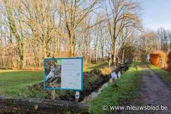 Minderjarige opgepakt voor aanval op jogster: “Hij werd in een gesloten instelling geplaatst”