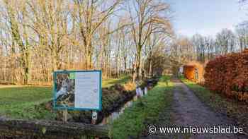 4 maanden nadat Sint-Katelijne-Waver opgeschrikt werd door aanval op 36-jarige loopster: minderjarige opgepakt