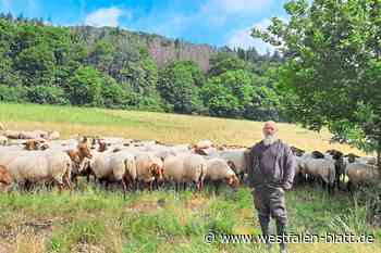 So schützen Schafe die Natur