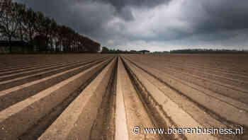 Perfecte storm hangt boven de aardappelmarkt