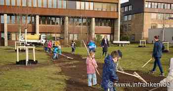 Bamberger Klima-Challenge: Kreative Aktion für Kindertagesstätten und Grundschulen - Preise winken