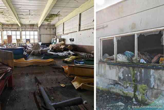 “Twee jaar geleden was het al dringend”: na brand en rattenplaag moet snel oplossing komen voor ‘vuilste hoek van Waregem’
