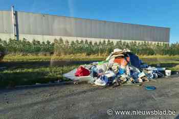 Gemeenten en Cargovil bundelen krachten voor propere Woluwelaan