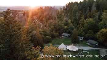 Hideaway im Harz: Diese 8 Rückzugsorte sind Geheimtipps