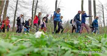 Wandertag von HAZ und Alpenverein: 13 Touren starten am 30. März