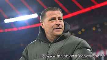 Neben Gittens: FC Bayern hat wohl weiteren BVB-Star im Visier