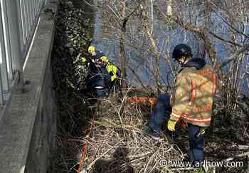 Man nearly neck-deep in mud rescued along Mt. Vernon Trail