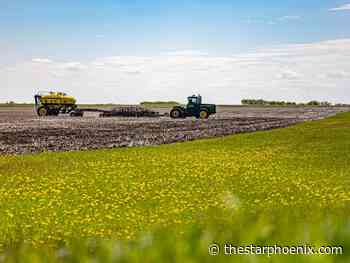 Prairie farmers can't rotate crops on a dime, but tariffs leave them uncertain about what to do next