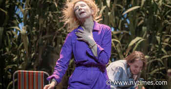 In ‘The Seagull,’ Cate Blanchett Outshines a Director’s Tired Tropes