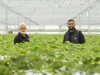 B.C. wants to increase its food autonomy. Here's what it would take