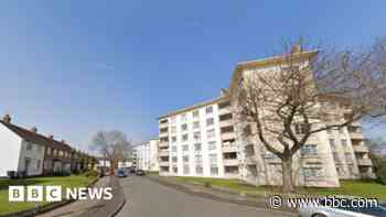 Arrest after dog thrown from building dies