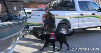 Alberta steps up efforts to keep invasive aquatic species out of the province