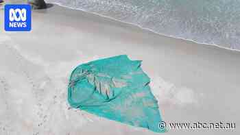 Ghost net found on WA's south coast sparks fears for sea life