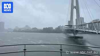 Up to 800mm of rain could fall over parts of Queensland, increasing flood risk