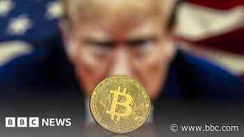 'A pig in lipstick': Trump's strategic Bitcoin reserve criticised