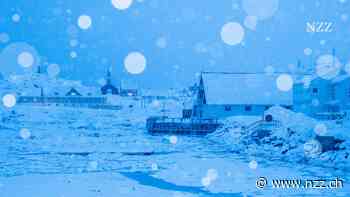 Ein Maurer lädt Trumps Sohn nach Grönland ein. Dann bricht das Chaos aus