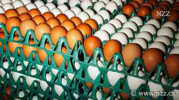 Bio war mal Luxus, heute gibt es Billig-Bio beim Discounter – das setzt die teure Schweizer Knospe unter Druck