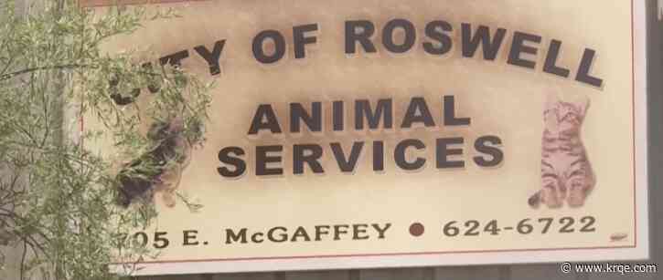 Roswell Animal Shelter to potentially euthanize animals due to distemper outbreak