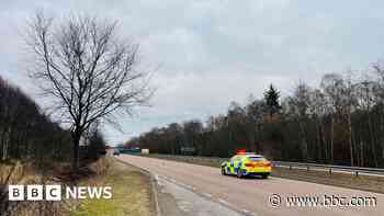 Man who died in A90 crash named